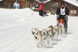 Lenk 2012 SM